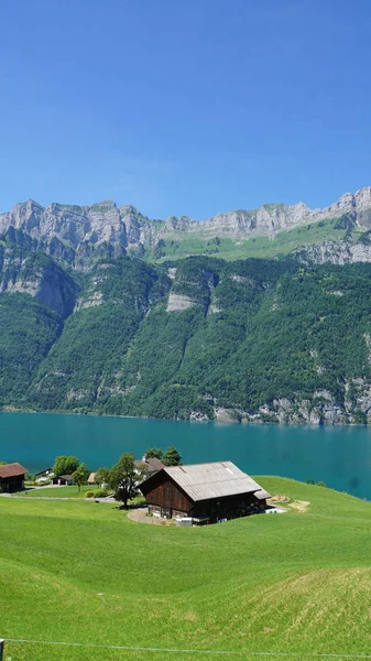 查看关于山湖 Walensee 在瑞士 陡峭的岩石和绿松石色水 在前景一片草地的农舍 图库照片