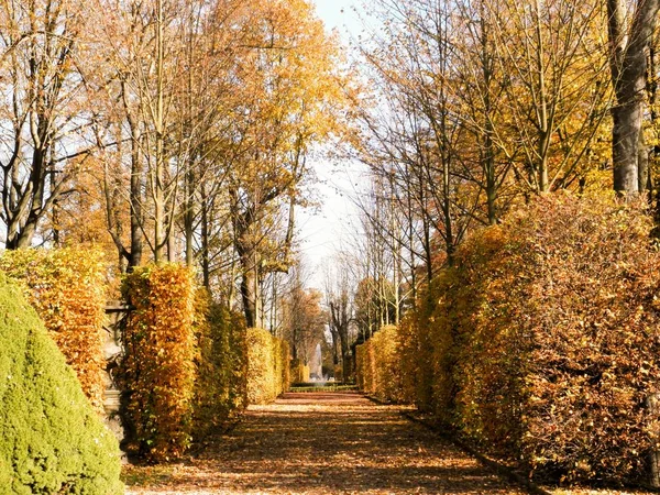 Outono Dourado Jardim Barroco Saxão Perto Chemnitz Alemanha — Fotografia de Stock