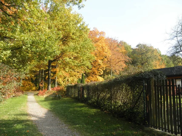 Narrow Path Colorful Autumn Forest Sunny Day October — Stock Photo, Image