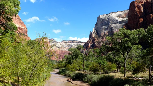 Steile Rote Felsen Der Nordgabelung Des Jungfräulichen Flusses Zion Nationalpark — Stockfoto