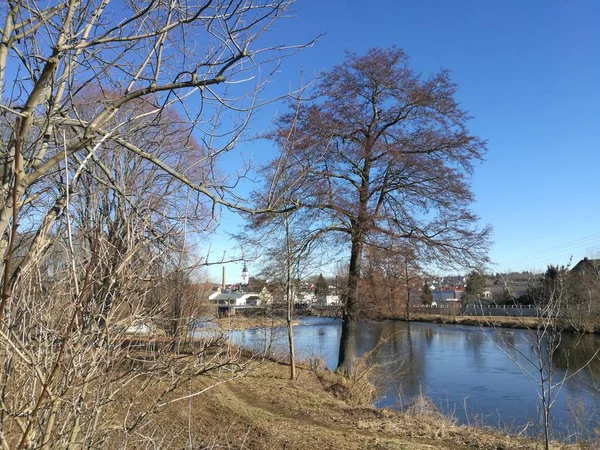 View Bare Trees Bushes Zschopau River Small Town Frankenberg Saxony — Stock Photo, Image