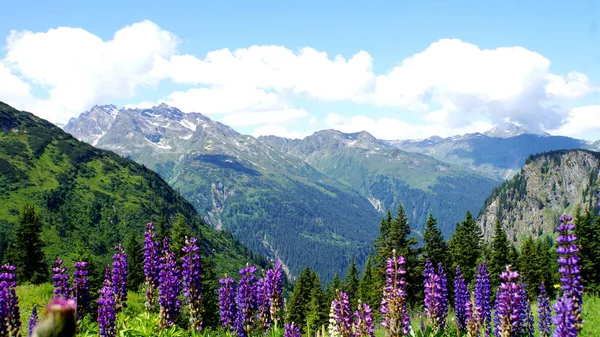 Άποψη Των Άλπεων Vorarlberg Στο Τιρόλο Αυστρία Ψηλά Βουνά Μπλε — Φωτογραφία Αρχείου