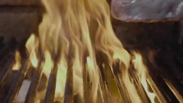 Bélszín idősebb elsődleges ritka sült elszigetelt grillezés sertés bélszín csíkok — Stock videók