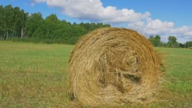 Hasat sahne haystacks yeşil sahada haddelenmiş