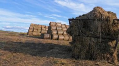 Tarım arazileri sahne haystacks alanında satır içeren