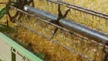 Hasat toplar buğday ekin tarım arazileri, birleştirmek