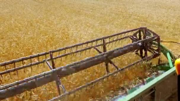 Paisagem de colheita agrícola industrial com combinar — Vídeo de Stock