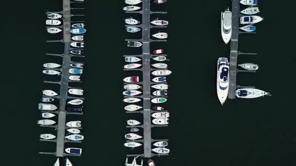 Segel båtar och yachter i hamn från höjd drönare över havet — Stockvideo