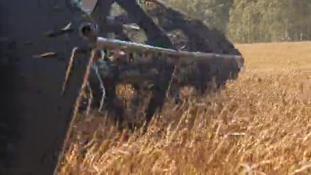 Industriële landbouw oogstlandschap met combinatie — Stockvideo