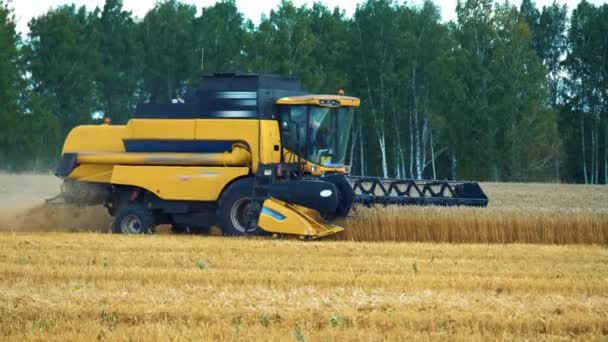産業農業の収穫の風景を組み合わせる — ストック動画