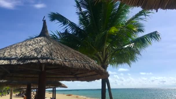 Los turistas disfrutan en los salones-chaises bajo el sol y descansan en las vacaciones tropicales — Vídeos de Stock