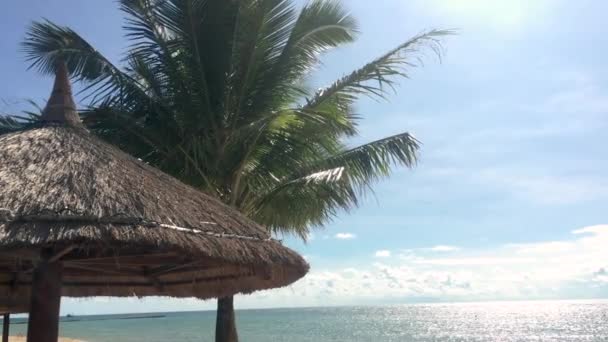 Vacaciones tropicales en el fondo de la orilla del mar con palmeras y chaises de salón — Vídeo de stock