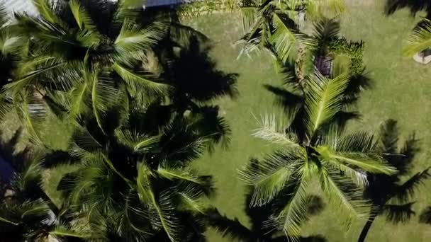 Eco viaje zona tropical con carretera que va al océano y la línea de playa — Vídeo de stock