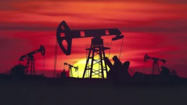 Global Ecology Factory Many Petrol Oil Pumping at Sunset Manufacture Stage Field Petroleum Units