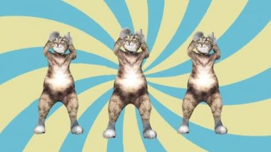 Konsept Cool and Fun Pet Kitty Danseden Gangnam Style Beat Animasyonuna Taşı