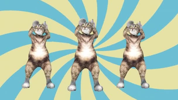 概念酷和有趣的宠物猫跳江南风格移动到节拍动画 — 图库视频影像