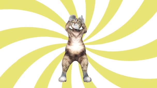 귀여운 갈색 고양이는 터널 색 공간에서 현대 양식으로 혼자 춤을 추고 있다 — 비디오