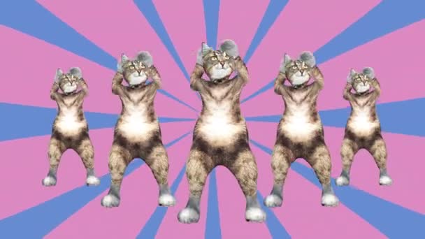 Niedliche braune Pussycats tanzen zusammen in modernem Stil im Tunnelfarbraum