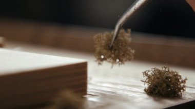 Kişi bitkiler ile suni minyatür decorates