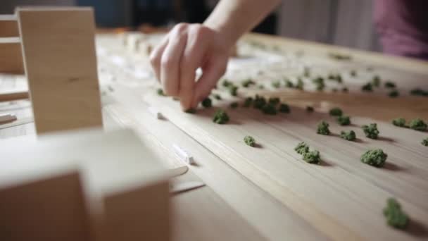 Pessoa Decora uma Miniatura Artificial com Plantas — Vídeo de Stock