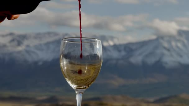 Une personne verse du vieux vin rouge d'une bouteille dans un verre à Slowmotion View 4k — Video