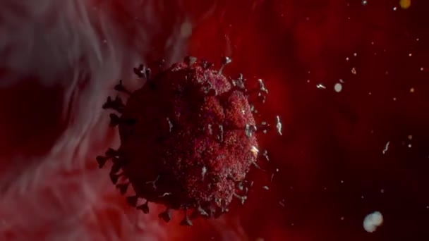 Virüs Çizimi Coronavirüs Enfeksiyonu Makro Vücut Arkaplanı Hücrelerinin İçinde — Stok video