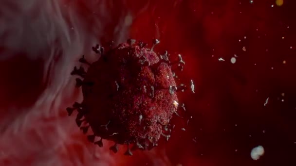 Virus Ilustrasi Infeksi Coronavirus Dalam Sel Dari Latar Belakang Tubuh Makro — Stok Video