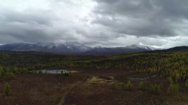Orman ve Bulutların Üzerinde Kuşların Gözü Vuruldu Vahşi Yaşam Sahnesi 4k