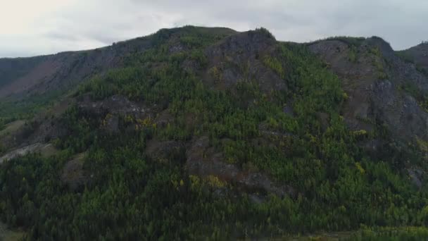 Grande floresta bonita no horizonte Montanhas nevadas pico alto 4k aéreo panorâmico — Vídeo de Stock