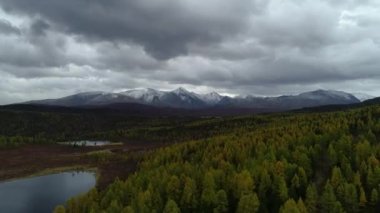 Orman ve Dağların Üzerinde Kuşların Gözü Çekildi Vahşi Yaşam Sahnesi 4k