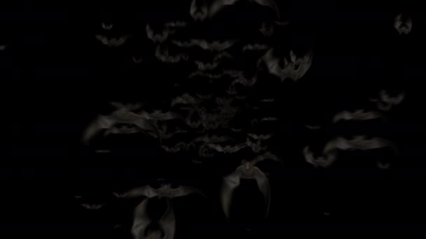 Animation de chauves-souris volantes pour Halloween Modèle de transition de fête 4k — Video