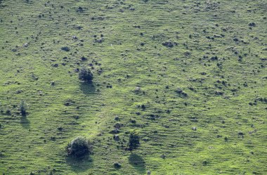 yeşil tepe yan güneş arka planda 