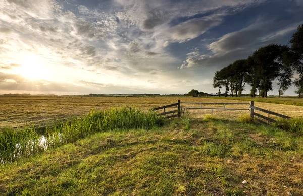 Yaz Hollanda Hollanda Tarım Arazisi Üzerine Güneş Işığı — Stok fotoğraf