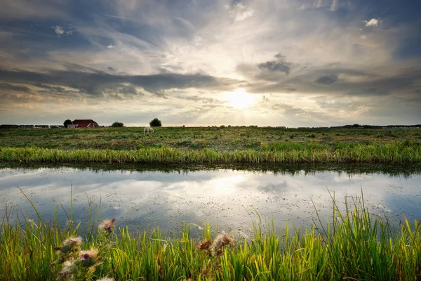 Sonnenlicht Über Kanal Und Weide Sommer — Stockfoto