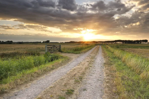 夏季荷兰农田的金色阳光过马路 — 图库照片