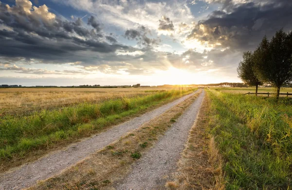 Countryside Road Gold Sunset Summer — Stock Photo, Image