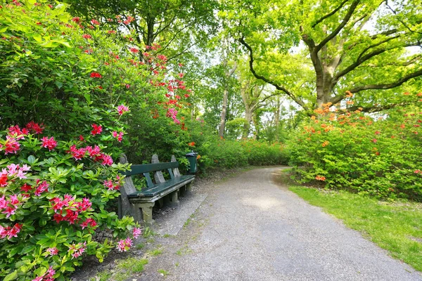 Beautiful spring green park with many flowers — Stock Photo, Image