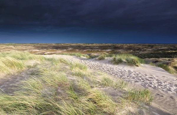 Dunkler Gewitterhimmel über Sanddünen in der Nähe der Nordsee — Stockfoto