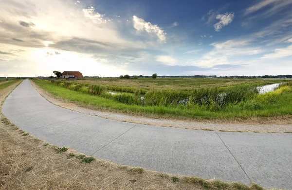 Landelijke weg in Nederlandse landbouwgrond — Stockfoto