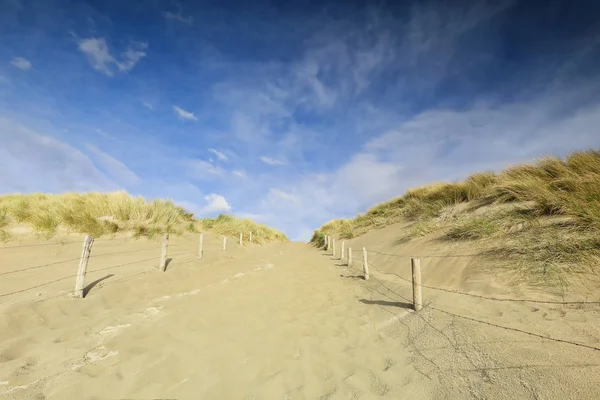 Caminho até duna de areia e céu azul — Fotografia de Stock