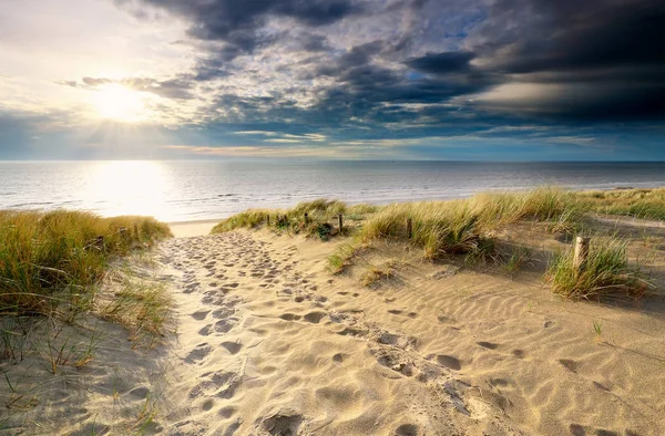 太陽の下で北の海のビーチへの砂の道 — ストック写真