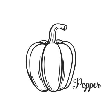 El yapımı biber ikonu. Broşürler, afişler, restoran menüsü ve market için eski mürekkep tarzında vektör rozeti sebzesi