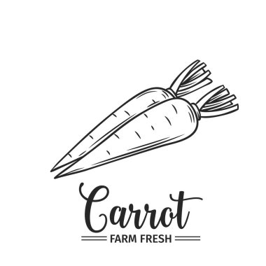 El yapımı havuç ikonu. Broşürler, afişler, restoran menüsü ve market için eski mürekkep tarzında vektör rozeti sebzesi