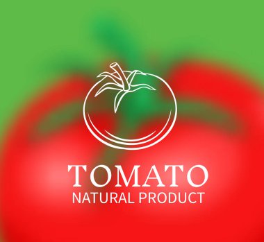 Bulanık bir arka planda el çizimi domates. Retro tarzı sebzeler. Vektör illüstrasyonu.