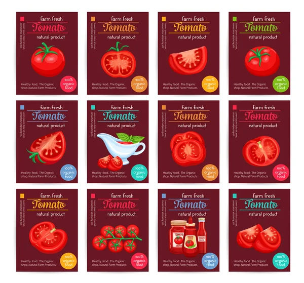 Set Pósters Salsa Tomate Salsa Tomate Ilustración Vectorial Para Menú — Vector de stock