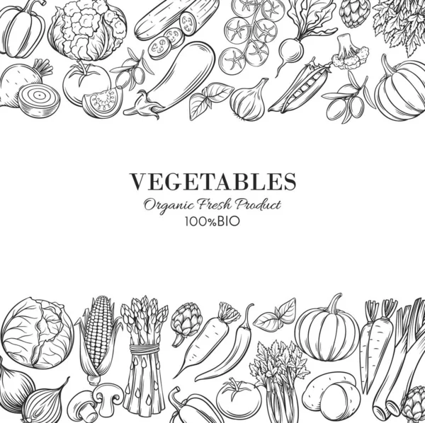 Plantilla Póster Bordes Con Verduras Dibujadas Mano Para Los Agricultores — Vector de stock