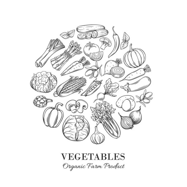 Plakat Okrągły Kompozycja Ręcznie Rysowane Warzywa Projektowania Menu Rynku Rolnego — Wektor stockowy