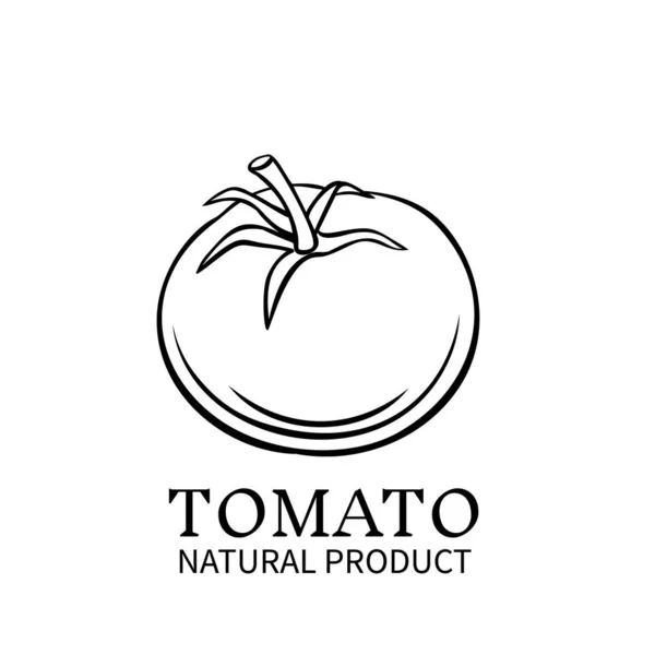 Icono Tomate Dibujado Mano Insignia Vectorial Vegetal Viejo Estilo Tinta — Vector de stock