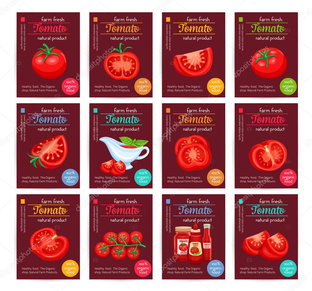 Tomato product sauce ketchup poster set. Vector illustration for restaurant menu.