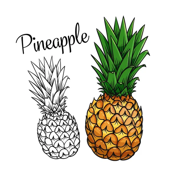 Ananas Vecteur Dessin Icône Fruits Tropicaux Dessinés Main Dans Style — Image vectorielle